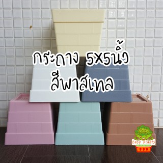 กระถาง พาสเทล Pastel  แคตตัส ต้นไม้ พลาสติก ขนาด 5 นิ้ว (12.50 ซม.) สีพาสเทล มี 6 สี ขาว ครีม เทา ฟ้า ชมพู ขาว