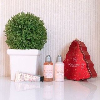 เซตบำรุงผิว LOCCITANE Cherry Blossom My floral essentials  ของแท้