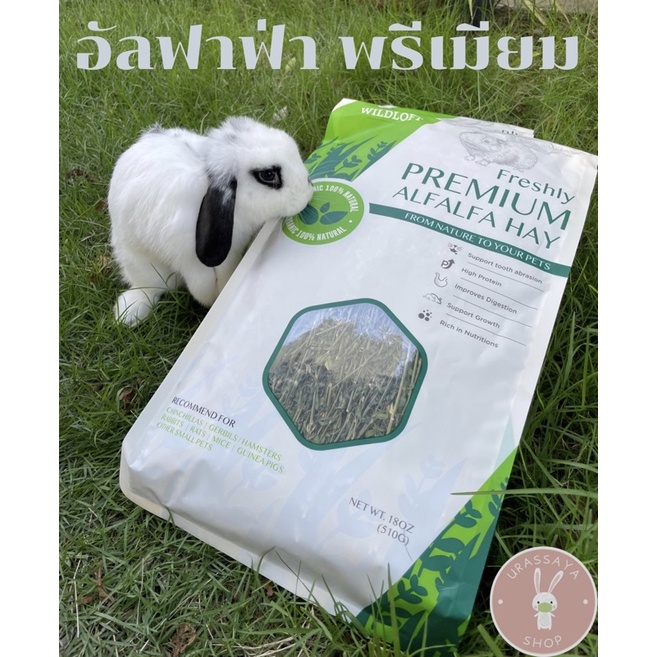 Alfalfa Wildloft Freshly Premium อัลฟาฟ่าเกรดพรีเมียม