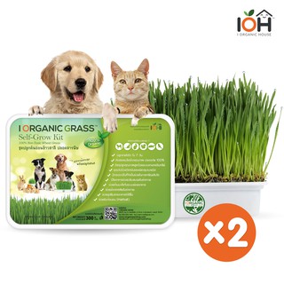 IOH i Organic Grass ชุดปลูกต้นอ่อนข้าวสาลี สำหรับสัตว์เลี้ยง (Premium Product) ขนาด 300 กรัม X2