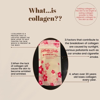 Fish Collagen Powder Bella colla PFP-25P(คอลลาเจน เบลลา พีเอฟพี-25พี)