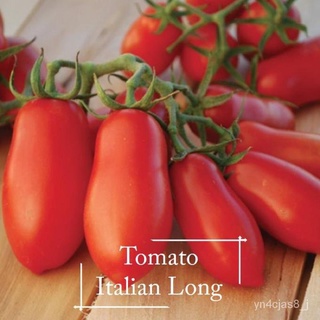 （อัตราการปลูกสูง）Organic Italian Long Tomato Seeds - 30 Seed ต้นไม้มงคล เมล็ดพันธุ์ผัก เมล็ดดอกไม้ ไม้ประดับ เมล็ดพันธุ์