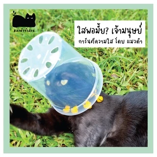 กระถางใส รุ่นหนาพิเศษ กระถางต้นไม้ใส ส่องรากง่าย แบบเหนียวและหนาไม่แตกง่าย กระถางพลาสติกใส ขนาด3 4 5 นิ้ว
