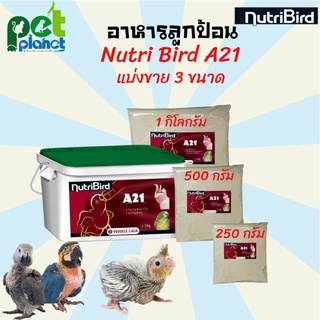 อาหารนก อาหารลูกป้อน Nutri Bird A21 แบ่งขาย ขนาด 250 กรัม 500กรัม 1กิโลกรัม ขนมนก อาหารลูกนก อาหารลูกนกแก้ว อาหารนกแก้ว