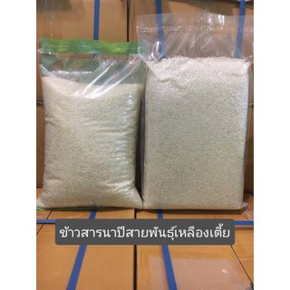 ข้าวสารสายพันธุ์เหลืองเตี้ยวิสาหกิจชุมชนจากทุ่งนาปักธงชัยขนาด1kg