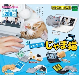 🅟🅕 กาชาปองน้องแมว Work from home 🐈 🏡 Cat telework gashapon