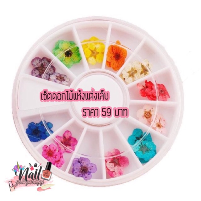 🌸พร้อมส่ง🌸เซ็ตดอกไม้แห้งฝังลายตกแต่งเล็บ 12 สี ถูกมาก