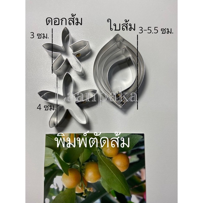 พิมพ์ตัดส้ม สำหรับดอกไม้ดินปั้น / เรซิ่นอัดลายใบส้ม