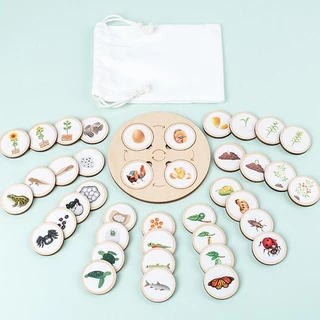 Treeyear Montessori Life ชุดบอร์ดวงจรปริศนา วงจรชีวิต สัตว์ พืช และแมลง ของเล่นเสริมพัฒนาการ สําหรับเด็กวัยหัดเดิน