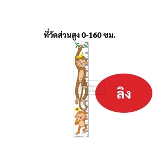 ที่วัดส่วนสูง กันน้ำ ฉีดไม่ขาด ขนาด 0-160 ซม. เนื้อPP อย่างดี ลายภาพสัตว์น่ารัก โปสเตอร์วัดส่วนสูง ที่วัดส่วนสูงเด็ก OST