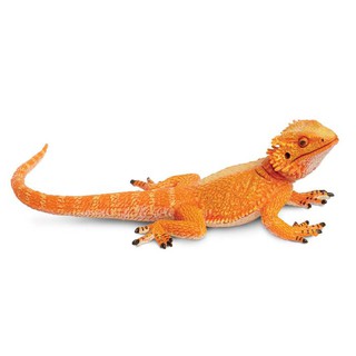 Safari Ltd. : SFR263129 โมเดลสัตว์ Bearded Dragon