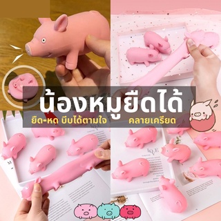 หมูของเล่น ของเล่นเสริมพัฒนาการเด็ก หมูยืดได้ ของเล่นเสริมสร้างกล้ามเนื้อมัดเล็ก คลายเครียด