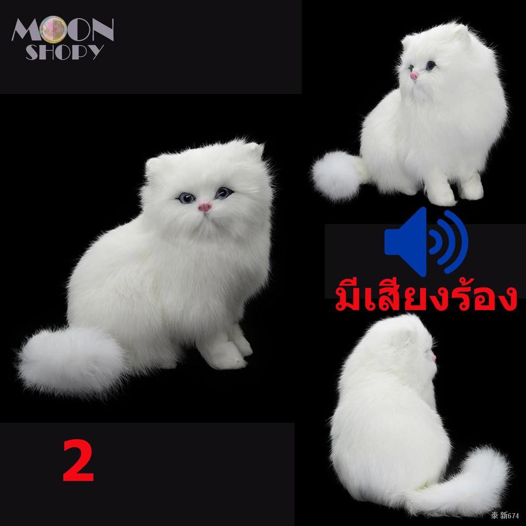 ตุ๊กตาแมวมีเสียงร้อง ตุ๊กตาแมวเปอร์เซียจำลอง น่ารักสุดๆ  ตุ๊กตามีเสียงของเล่น ของขวัญ คนรักแมว มีของพร้อมส่ง - An8Wmlxjg6 - Thaipick