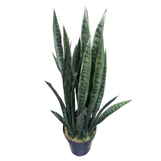 Artificial tree ARTIFICIAL SNAKE PLANT SPRING 100CM GREEN Garden accessories Garden decoration accessories ต้นไม้ประดิษฐ