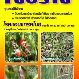 ยากำจัดเชื้อรา แอนแทรคโนส กุ้งแห้งพริก เจอราจ ขนาด500 cc. และ100 cc.