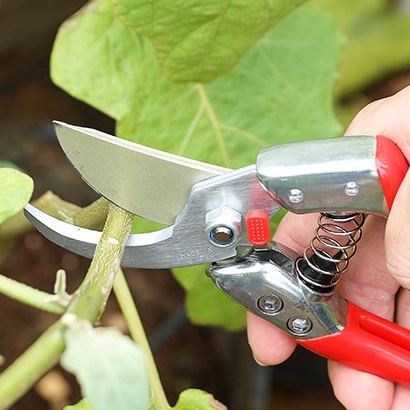 กรรไกรตัดกิ่งไม้ Chikamasa รุ่น PSA-G8 รุ่นยอดนิยม คม ตัดได้กว้างมากขึ้น น้ำหนักเบา Made in Japan - รูปที่ 2