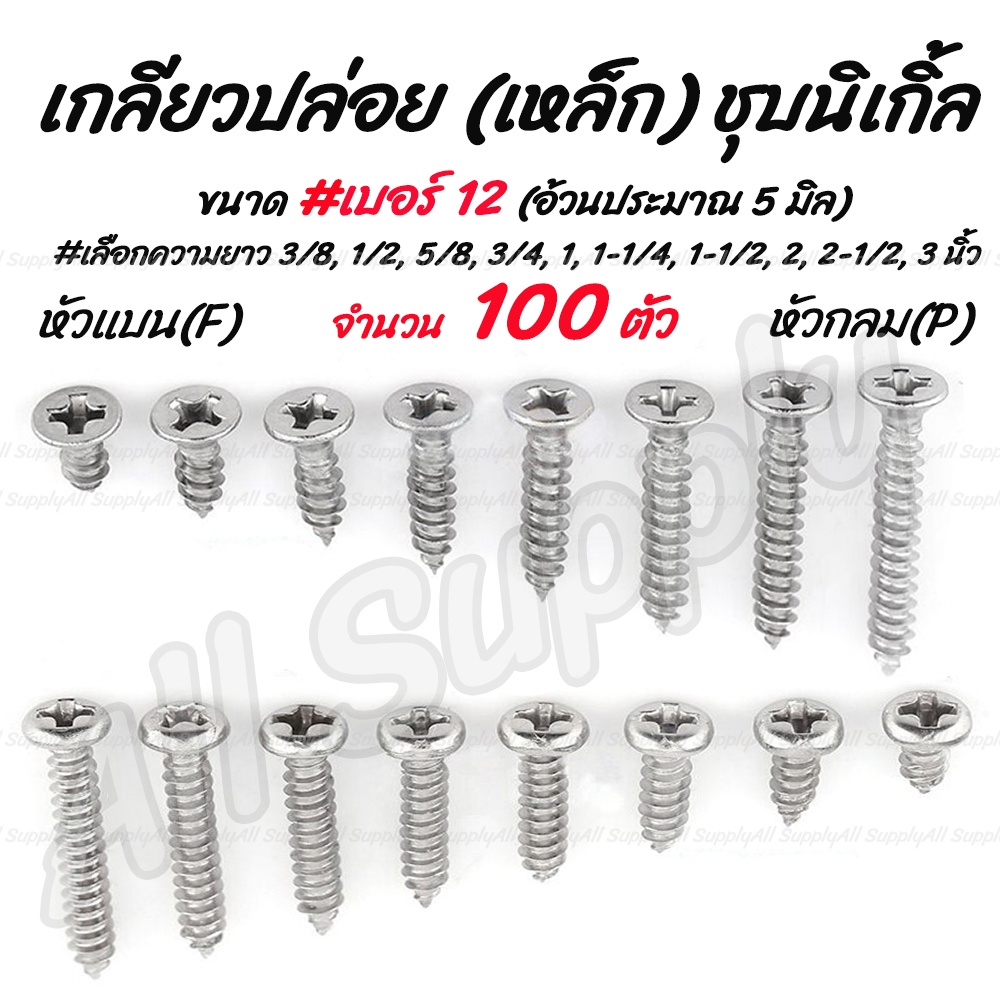 โปรลดพิเศษ จำนวน(100ตัว) สกรู เกลียวปล่อย เหล็ก หัวP หัวกลม/ หัวF หัวแบน # เบอร์12  #เลือกความยาว 3/8 ถึง 3 นิ้ว