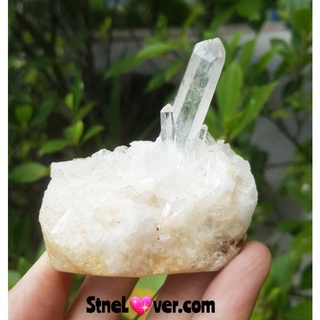 #Clear quartz Cluster #เคลียร์ควอตซ์ #หินธรรมชาติ
#เขี้ยวหนุมาน #ผลึกควอตซ์ใส