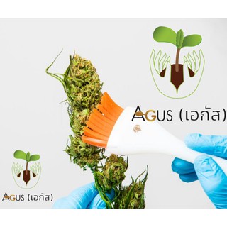 Canna Brush แปรง ทริม ดอก กัญชา ของ แท้ 100% นำเข้าจาก USA ทริมดอก ทริมใบ กรรไกร cannabis Trimming bud สมุนไพร 420 hemp