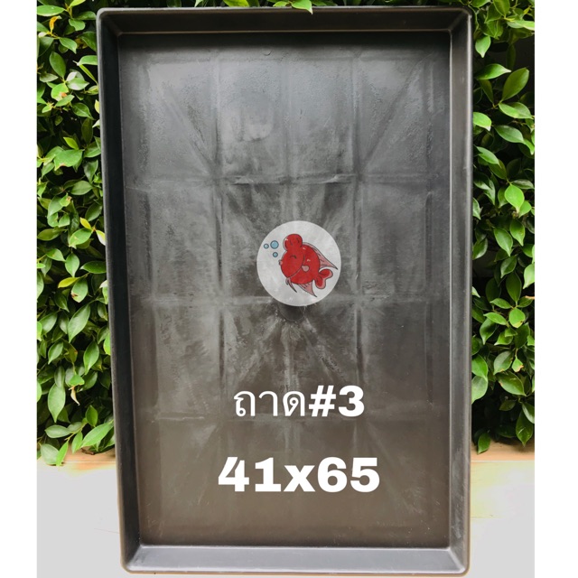 ถาด ถาดรองกรง สุนัข แมว นก ถาดรองกรง เบอร์3 ขนาด 41x65ซม. ทำจากพลาสติกแข็งอย่างดี สีดำ ล้างทำความสะอาดง่าย ทนทาน