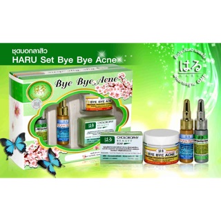 Haru Bye Bye Acne ครีมชุดลดสิว