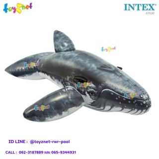 Intex แพปลาวาฬ (2.01x1.35 ม.) รุ่น 57530