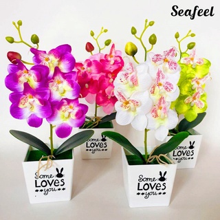 Seafeel กล้วยไม้ประดิษฐ์ ผีเสื้อ บอนไซ ดอกไม้ปลอม พร้อมกระถาง ตกแต่งบ้าน เฟอร์นิเจอร์