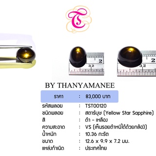 พลอยสตาร์บุษ  Yellow Star Sapphire ขนาด  12.6x9.9x7.2 มม. พลอยแท้ มีใบรับรอง