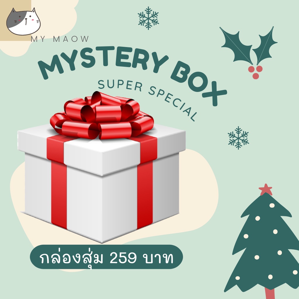 MM CAT // กล่องสุ่ม กล่องสุ่มสำหรับสัตว์เลี้ยง Mystery Box 3