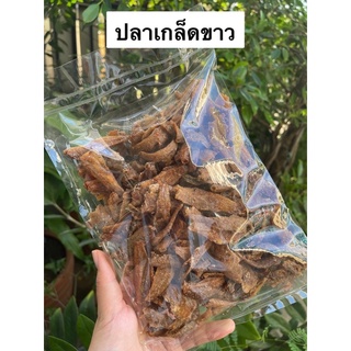 🐟 ปลาเกล็ดขาว ปลากรอบๆ มาแล้วจ้าา‼️‼️📌 แพ็คเล็กทานง่ายทานอร่อยสุดๆจ้า