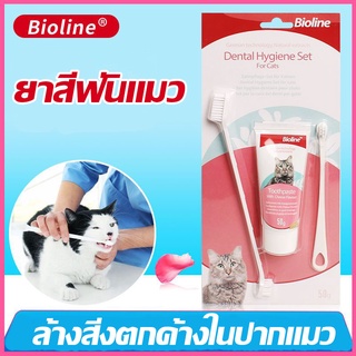 🐱Bioline🐱 ชุดแปรงฟันสัตว์เลี้ยง ยาสีฟันสำหรับสัตว์เลี้ยง ยาสีฟันแมว ยาสีฟันพร้อมแปรง ลดกลิ่นปาก ลดการสะสมของแบคทีเรีย