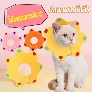 พร้อมส่ง🔥🐈ปลอกคอกันเลียแผล[มงกุฎ] 👑คอลล่าแมว🌸ลำโพงแมว คอลล่าทรงมงกุฎ สุดน่ารัก ลำโพงกันเลีย