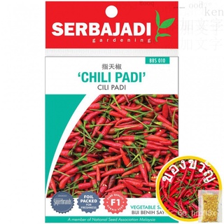 Serbajadi F1 Hybrid Chilli Padi Seeds  Cili Padi (Hot Pepper) - BBS010 / Vegetable seed / Benih Sayur เมล็ดกางเกง/แอปเปิ