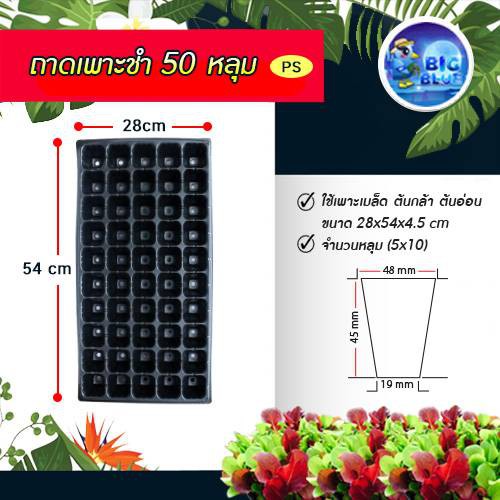 ถาดเพาะชำ-ถาดเพาะกล้า  50 หลุม PS 70 mc.  (10340010)