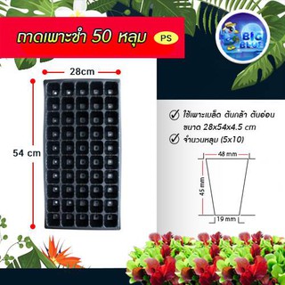 Bigblue ถาดเพาะชำ-ถาดเพาะกล้า  50 หลุม PS 70 mc.  (10340010)