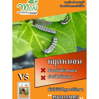 กำจัดหนอน แมลง - ดินยิ้ม V5  (ขนาด 20 กรัม) - หยุดหนอน ป้องกันหนอน (ออแกนิค ปลอดสารเคมี )