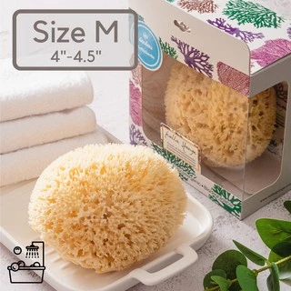 KALLA SPONGE ฟองน้ำธรรมชาติ ชนิด Honeycomb สีเหลือง ฟองน้ำ สำหรับอาบน้ำเด็กและทารก