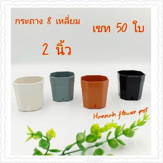 กระถางต้นไม้ 2 นิ้ว เซท 50 ใบ (8เหลี่ยม) กระถางแค้นตัส กระบองเพชร สีขาว ดำ ส้ม เทา