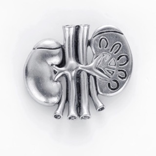 Kidney (Antique) pin เข็มกลัดไต medical gift