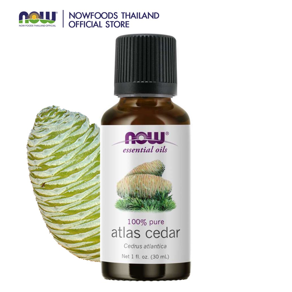 Now Atlas Cedar Essential Oil 100% Pure 30 ml (น้ำมันหอมระเหย กลิ่นไม้ซีดาร์)