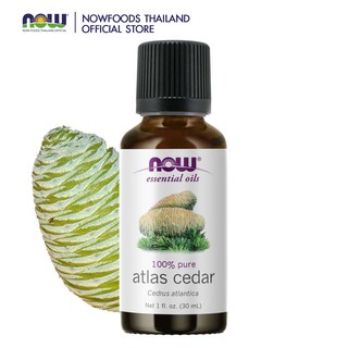 Now Atlas Cedar Essential Oil 100% Pure 30 ml (น้ำมันหอมระเหย กลิ่นไม้ซีดาร์)