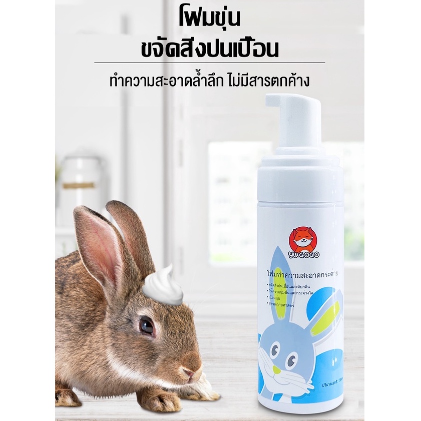 รูปภาพ 2