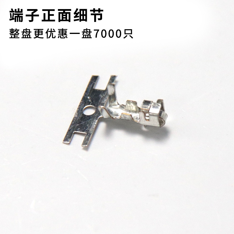 รูปภาพ 3