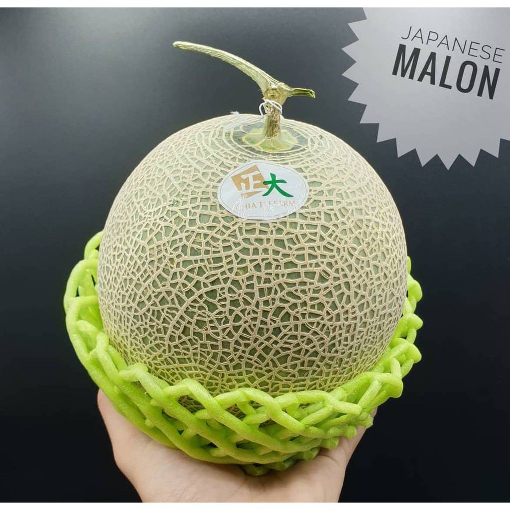 แตงเมล่อนพันธุ์ญี่ปุ่น เนื้อเขียว เนื้อส้ม Japanese Melon メロン (ยกลัง3ลูก) (THAI) 1.5KG UP/ลูก ขายส่ง ราคาส่ง แคนตาลูป