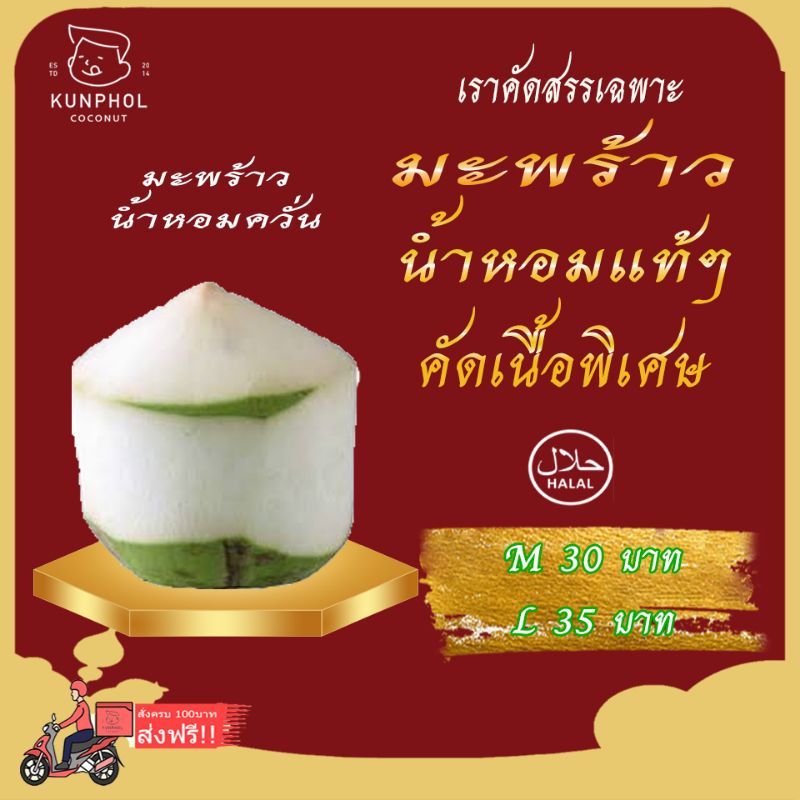 มะพร้าวอ่อนปอกขาว เซ็ท 10 ลูก ไซค์ m