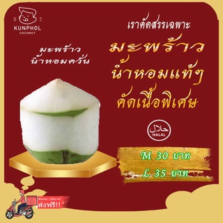 มะพร้าวอ่อนปอกขาว เซ็ท 10 ลูก ไซค์ m