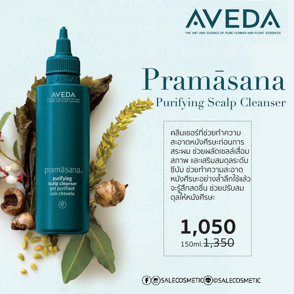 AVEDA Pramasana Purifying Scalp Cleanser 150ml. | Shopee Thailand