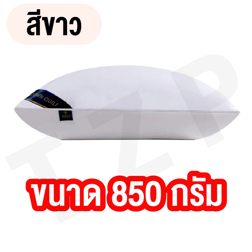 หมอน หมอนโรงแรม ขนาด 850 G และ 1000 G [ เหมาะสำหรับคนที่ไม่ชอบนอนหมอนสูง ] สินค้าพร้อมส่ง