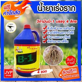 **ส่งฟรี** วิตามินบี1(T-REX) 4ลิตร 4แกลอน ช่วยให้พืชฟื้นตัวได้เร็ว กระตุ้นการเจริญเติบโตของพืช เร่งราก ทรีเร็กซ์เร่งราก