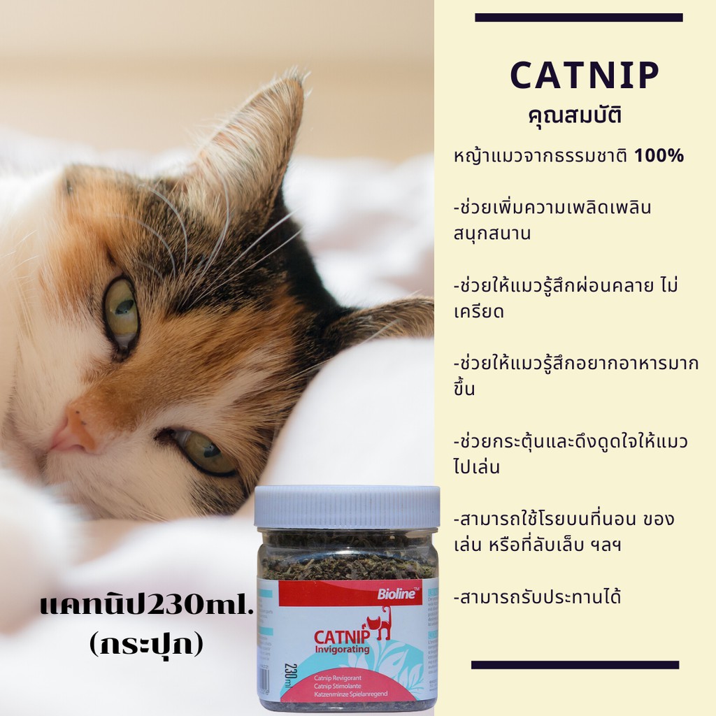 Bioline CATNIP ผงแคทนิป/สเปรย์แคทนิป/แท่งมาทาทาบิ สมุนไพรจากธรรมชาติ 100% ของเล่นแมว ช่วยให้แมวรู้สึกผ่อนคลายอารมณ์